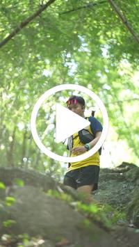 BIB:  <button type="button" onclick="openModal(27930528)" class="btn btn-primary btn-sm float-right" data-toggle="modal" data-target=".modal-high-quality">
                <i class="fa fa-download"></i> Download
                </button>